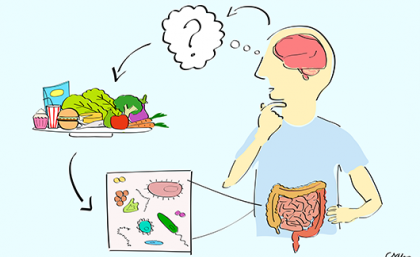 Autism and gut microbiome graphic. Image: Chloe Yap.
